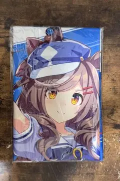 Item thumbnail for item beb4f365-34e4-414e-9056-bf7b0ac47c86