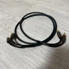 Item thumbnail for item 11cd0746-469c-4ac0-8892-3f622d62ee9d