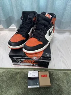 Nikeエアジョーダン1 Shattered Backboard 28.5cm