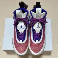 AIR JORDAN XXXVI PARIS US12 30.0cm