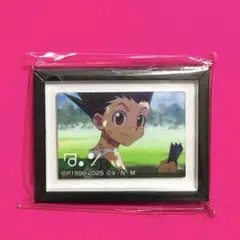 HUNTER×HUNTER ハンターハンター　ゴン　アートフレーム　場面写