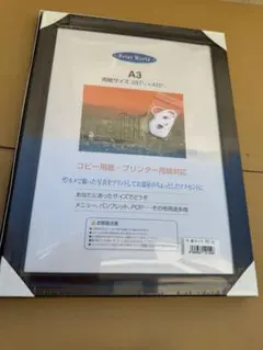 額縁2点セット　A3と少し大きめな額縁