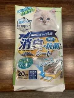 Item thumbnail for item f7e8b52c-741b-4d0b-8a77-422a97daebe7