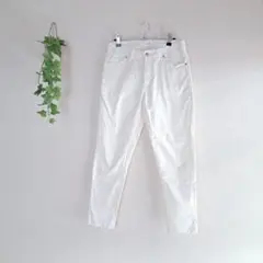 アーヴェヴェスタンダード（M）カジュアルパンツ シンプル ポケット 綿混