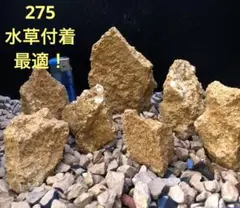 275 お得!アクアリウム石熱帯魚メダカ金魚水草爬虫類水槽濾過材水槽インテリア