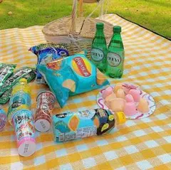 レジャーシート 厚手/防水/大判 200×200センチ 黄色(6~8人様用)