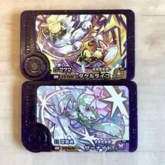 ポケモンフレンダ☆ベストタッグ第1弾&5弾 スーパートレジャー2枚