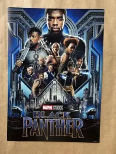 マーベル　アベンジャーズ　ブラックパンサー　ポスター　B4 キルモンガー