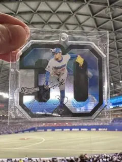 中日ドラゴンズ　根尾昂30 ダイカットナンバーキーホルダー