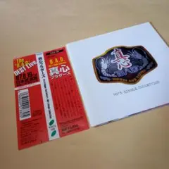 送料込 真心ブラザーズ CD シングル・コレクション 帯付 13曲