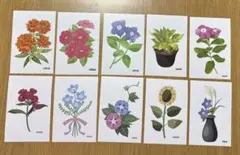 花のイラストカードセット 10枚