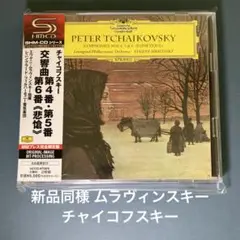 廃盤 ムラヴィンスキーの芸術 Vol.1 16CD - メルカリ