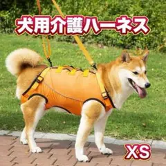 Item thumbnail for item 19021063-02e1-40e0-b117-385f2b7cca3c