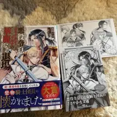 BL小説☆悪役令息レイナルド・リモナの華麗なる退場✴︎特典コミコミSSペーパー他