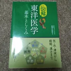 カラー図解 東洋医学 基本としくみ