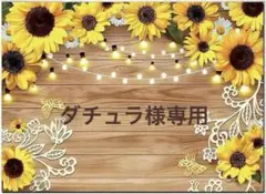 ■カッティングダイ■ミニファイルホルダーᵕ̈*