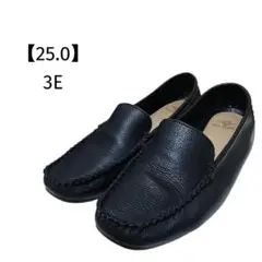 Item thumbnail for item 17838d55-8206-40a1-ac54-e3fa44270d5c