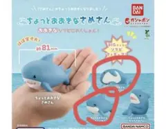 ちょっとおおきなさめさん おおきなソフビこれくしょん　ガチャ