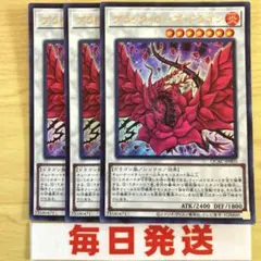 遊戯王 ブラック・ローズ・ドラゴン ウルトラ3枚　ピヴォ