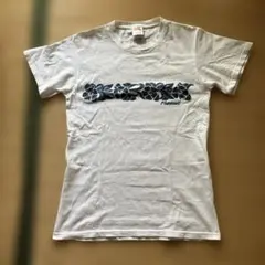 Fruit of the Loom Hawaii Tシャツ メンズ S