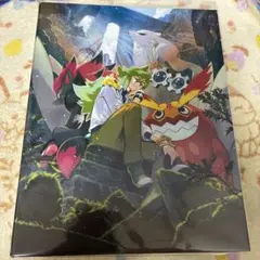 ポケモンカード　ファイル　トレーナーズ　ビート　N