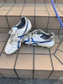 アシックス DSライト サッカースパイク24.5 11/5AM9時まで出品