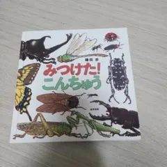 みつけた！こんちゅう　しかけえほん