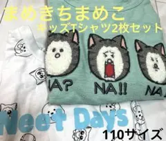 Item thumbnail for item 66fbef44-4090-412e-88fb-ff916dcb65d0