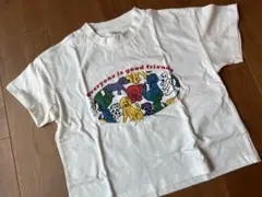 【新品】チマジロ　110