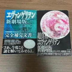 ヱヴァンゲリヲン新劇場版 完全補完文書＆超真相ヱヴァンゲリヲン新劇場版