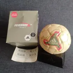 2002 FIFA ワールドカップ サインボール