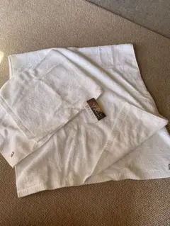 Item thumbnail for item 7c59ea19-47b9-4a4c-b33a-9e3a04c104ad