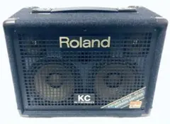2025年最新】ROLAND KC-110の人気アイテム - メルカリ