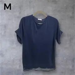 Item thumbnail for item 7a6e55e3-ad3f-4b0c-ac36-13fab6e01635