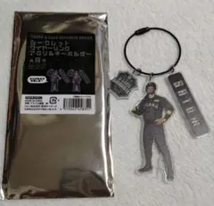 阪神タイガース シークレットワイヤーリングアクリルキーホルダー 佐藤輝明