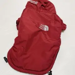 Item thumbnail for item cc5cb284-bf2f-4491-ad1a-83e2231f7a5f