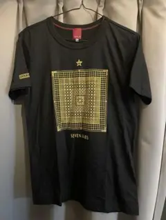 希少 クルーズトレイン「ななつ星in九州」オリジナル Tシャツ
