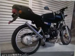 RZ50 キタコテール m49637265194_1.jpg?1704046338