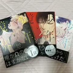 少年の境界　全巻セット