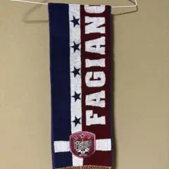 ファジアーノ岡山タオルマフラー