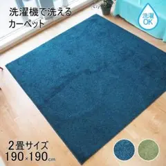 カーペット 洗える ラグ 国産 日本製 抗菌 防臭 シャギー 2畳用