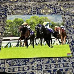 シンザン　昭和40年天皇賞 競馬パネル 日刊スポーツ シンザン 昭和40年天皇賞 競馬パネル 日刊スポーツ - メルカリ