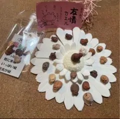備前焼，カエルの彫刻付き陶器 Amazon.co.jp: 招き蛙 招きカエル 備前焼 置物 3個セット 1-C