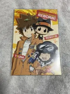 家庭教師ヒットマンREBORN！アニメイト　特典　雲雀恭弥 8枚