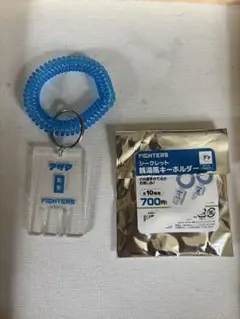 【匿名配送】シークレット 銭湯風キーホルダー 淺間大基