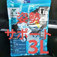 Xブースター ワークマン 冷感半袖Vネックシャツ ブラック　3L