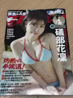 週刊プレイボーイ 2025年31号
