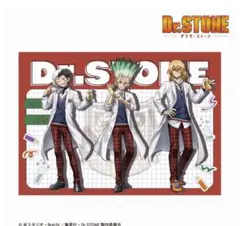 Dr.STONE 福くじ A賞 ビジュアルクロス