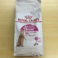 Item thumbnail for item e11a1f5c-4c9a-4bc1-bac1-9a26cfd32787