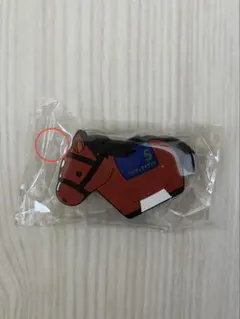 サラブレッドコレクション　リバーシブルクリップ　リバティアイランド